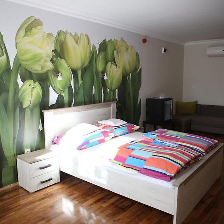 V8-Kelemen Panzio Bed & Breakfast Makó Exterior foto